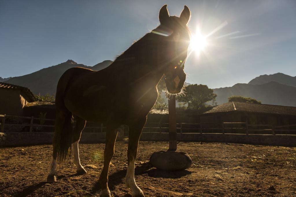 Sol Y Luna - Relais & Chateaux Sacred Valley Dış mekan fotoğraf